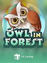 Owl In Forest
