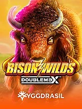 bison-wilds